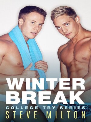 cover image of Winter Break
